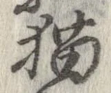 猫 위치 확인됨
