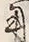 Character 用
