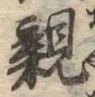 已定位親