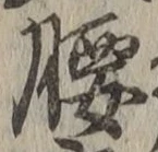 字腰