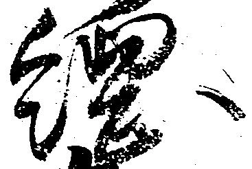 位置 確認된 綱
