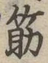 筋の位置