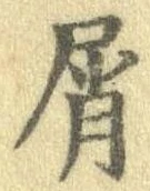 Đã định vị 屑