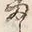 “ま”字