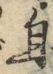自の位置