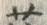 「莎」字