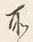 字所