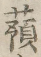 已定位蕷
