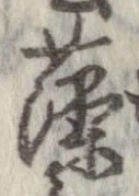 已定位藻