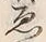 “ゑ”字