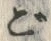𡨸ご