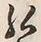 文字め