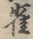 已定位雀