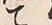 文字こ