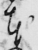 「本」字