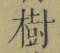 Chữ 樹