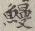 已定位鰻