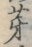 位置 確認된 芽
