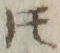 文字𪜈