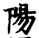 Character 陽