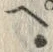 字ぺ