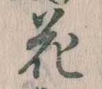 位置 確認된 花