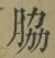 Character 脇
