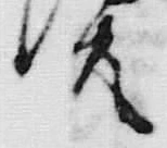 𡨸共