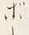 「ー」字