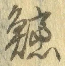 已定位鯨