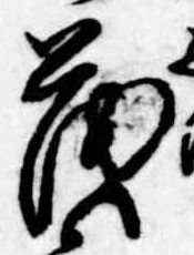 已定位茂