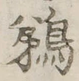 已定位鵜