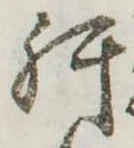 已定位肝