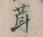 位置定マレル茸