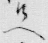 字存