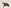 字積