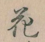 位置 確認된 花