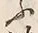 Character 嶋