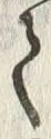 字騒
