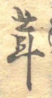 位置定マレル茸