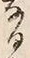 「濃」字