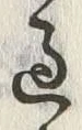 字過