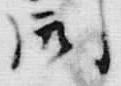 “田”字