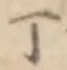 文字丁