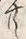𡨸共