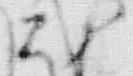 “成”字
