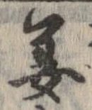 位置定マレル姜