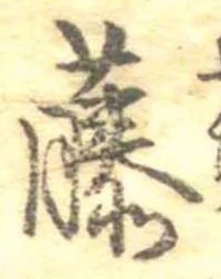 已定位藤
