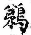 已定位鵜