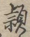 已定位頴